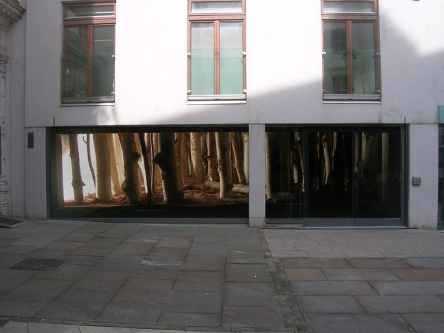 back woods_fish_gallery