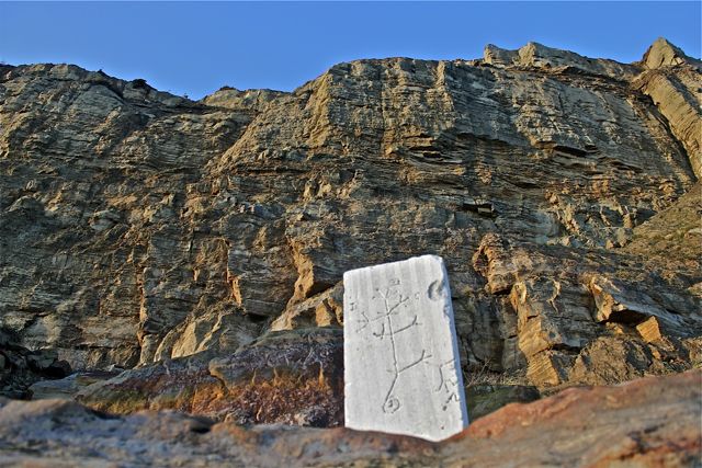 J.ROSEVEARE_2_Hollywood_Darwin